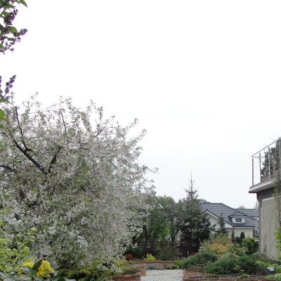 DSC08899