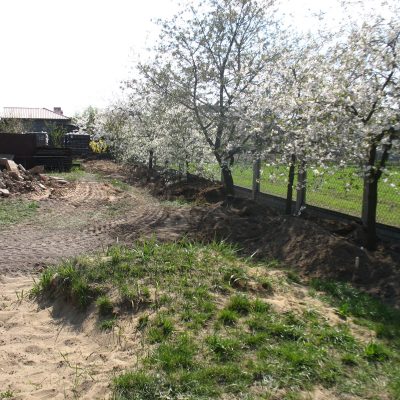 tomek ogrod 019
