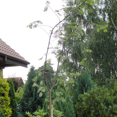 DSC08030