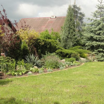 DSC09052