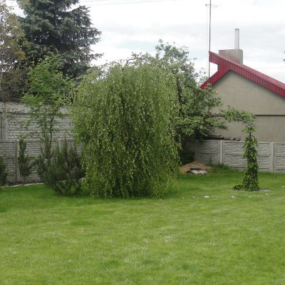 DSC09086
