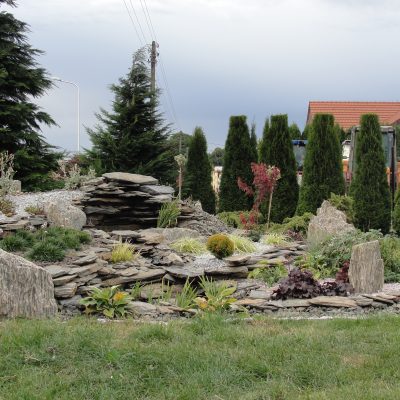 DSC09668